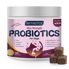 DRFOSTER probióticos para perros en botella apoyando la digestión de forma general