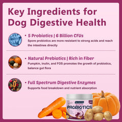 DRFOSTER probióticos para perros con equilibrio digestivo suave