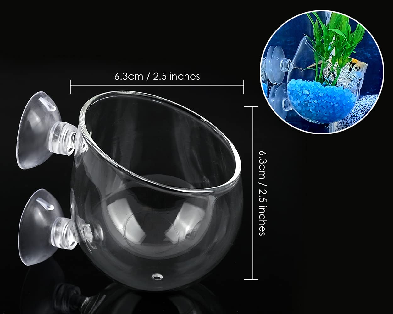 DS Distinctive Style, taza planta acuario cristal con ventosas para reposicionamiento sencillo.