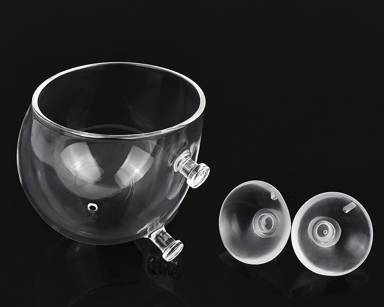 DS Distinctive Style, accesorio decorativo para acuario con planta cristal y ventosas.
