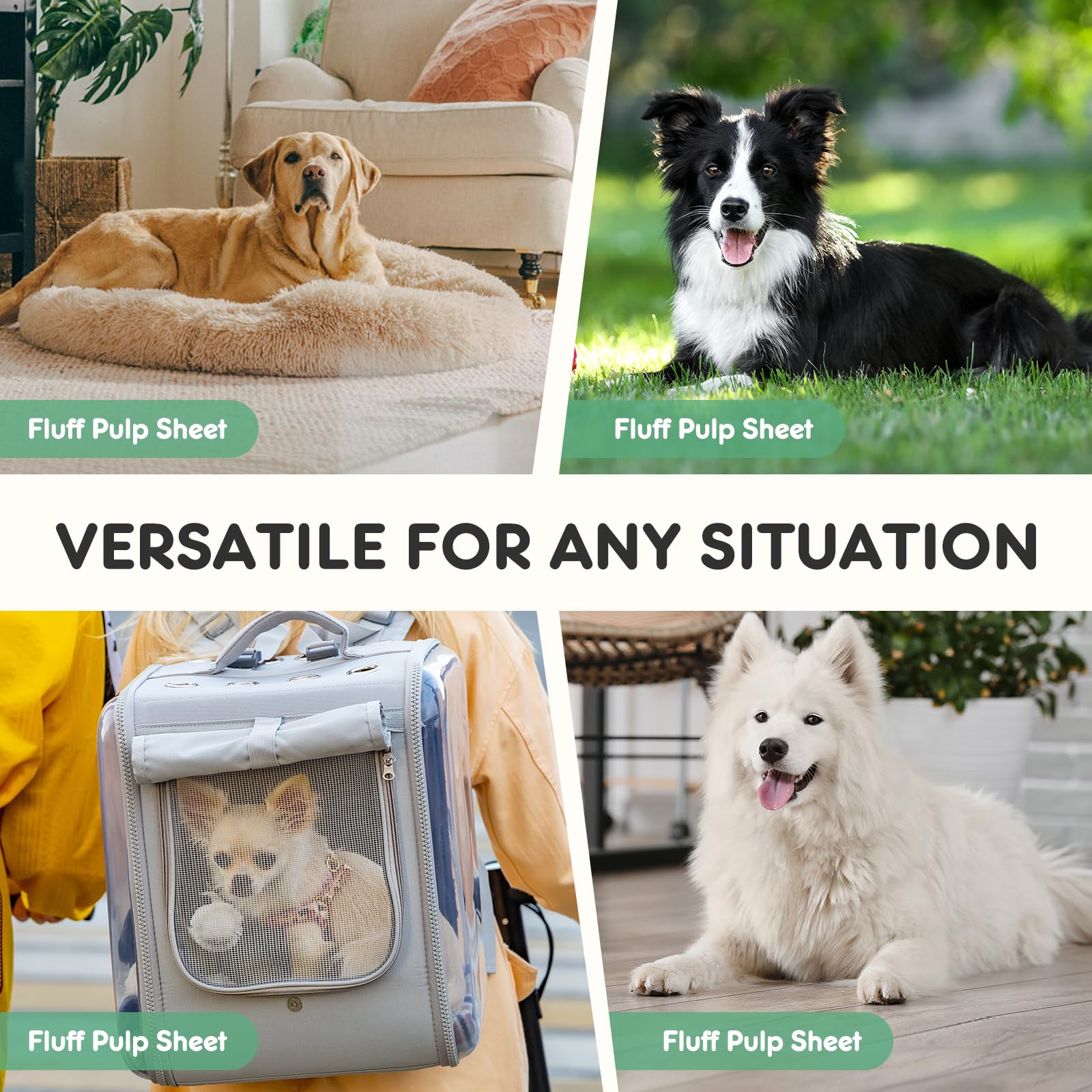 DUMOS apoyo-patas-senior: ayuda para mascotas mayores manteniendo la casa limpia.