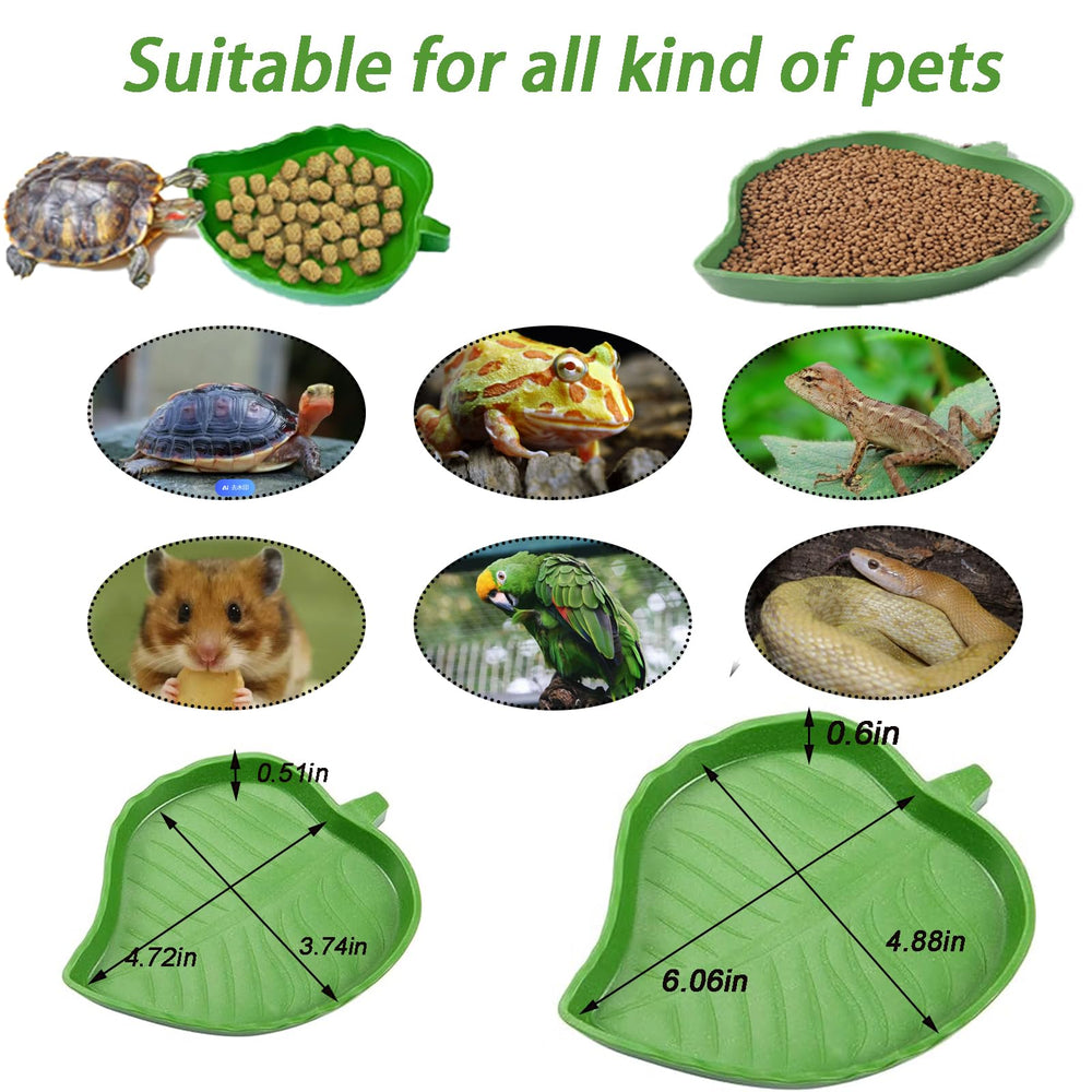 DUOYUZHIYU cuenco multiusos para gecko, serpiente, tortuga y dragón barbudo