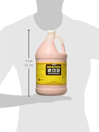 Durvet Kaolin Pectin, etiqueta del producto para diarrea simple en caballos, perros y gatos.