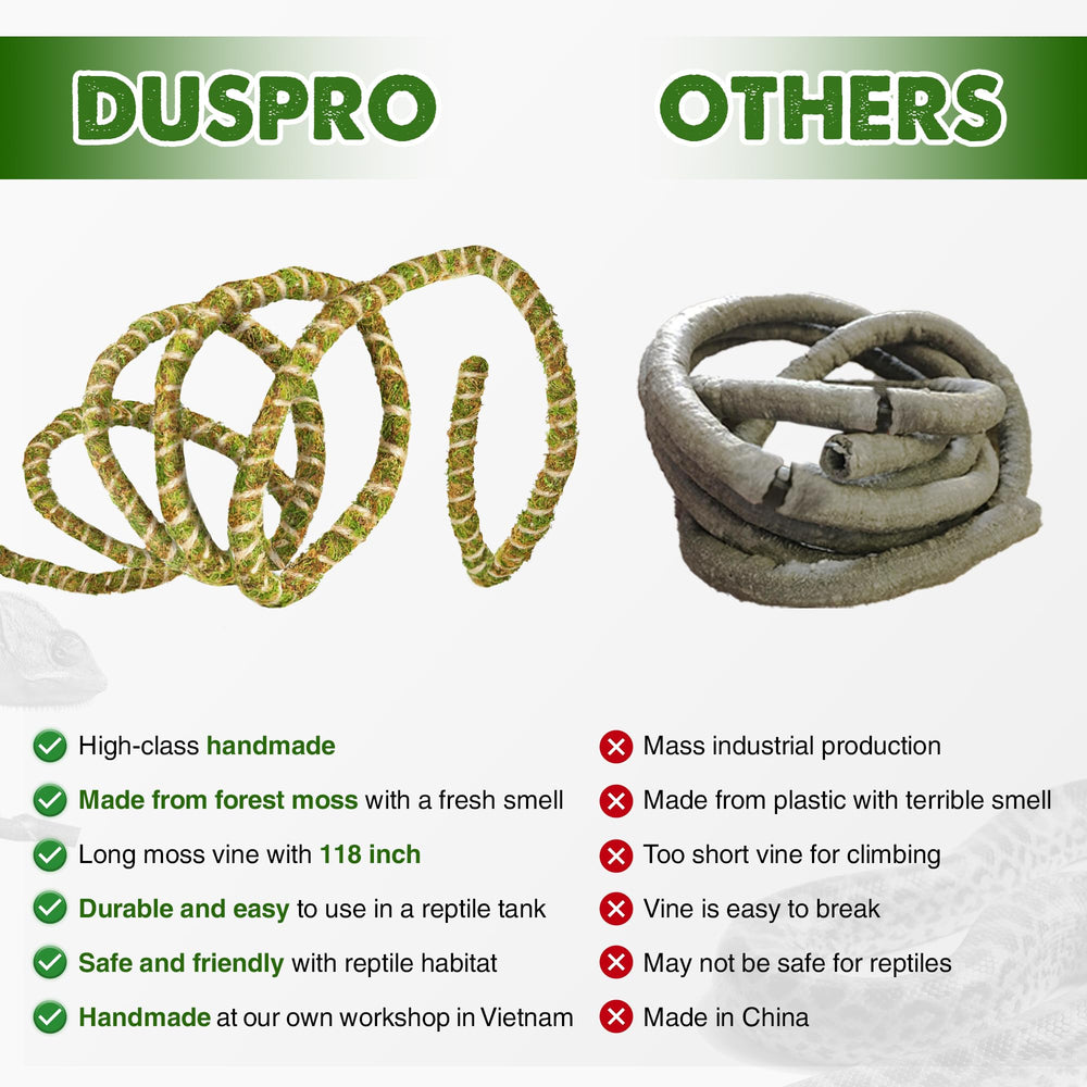 Decoración de terrario con musgo natural Duspro para ambiente vivo