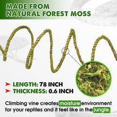 Ramo de musgo natural Duspro verde para terrarios realistas