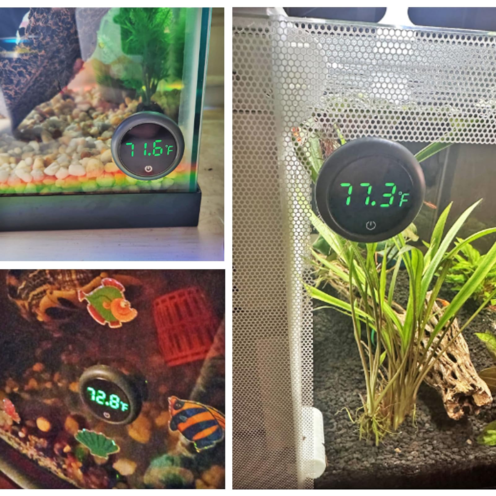 Visualización clara para monitorizar la temperatura en acuarios de agua dulce y salada.