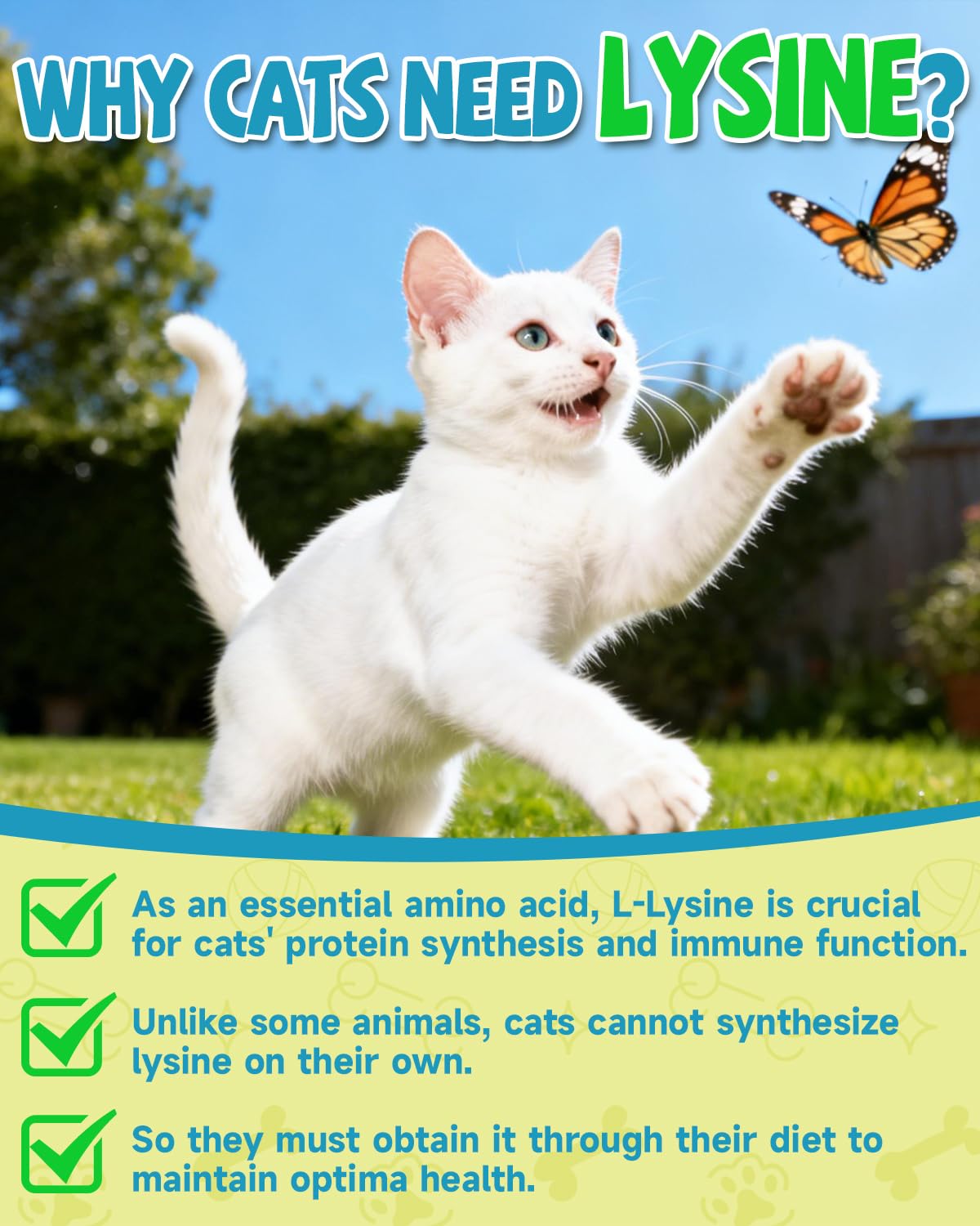 Frasco de gotas L-Lisina de Eagou Diary para gatos, uso diario y dosis sencilla.