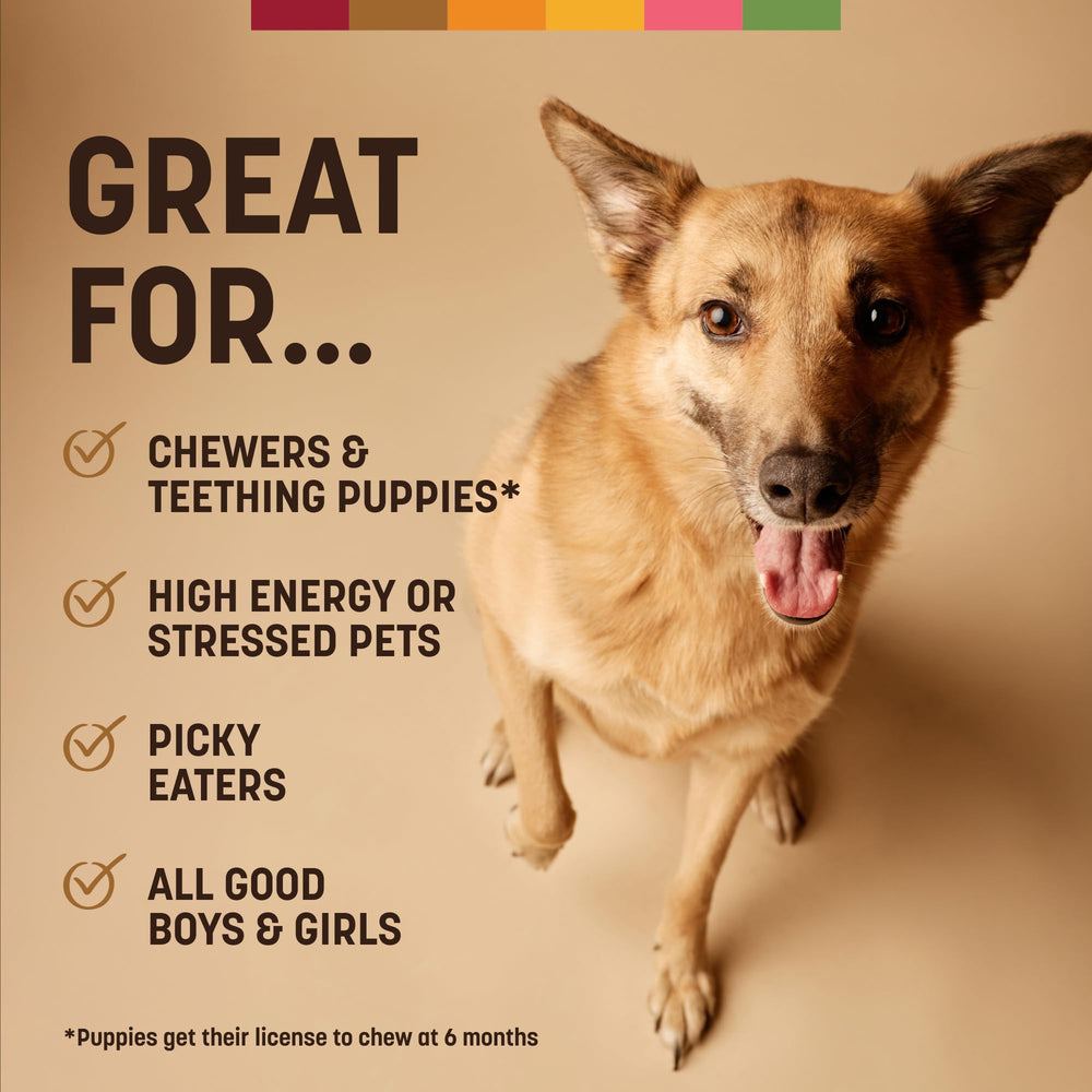 Earth Animal No Hide Chews opción segura para perros medianos