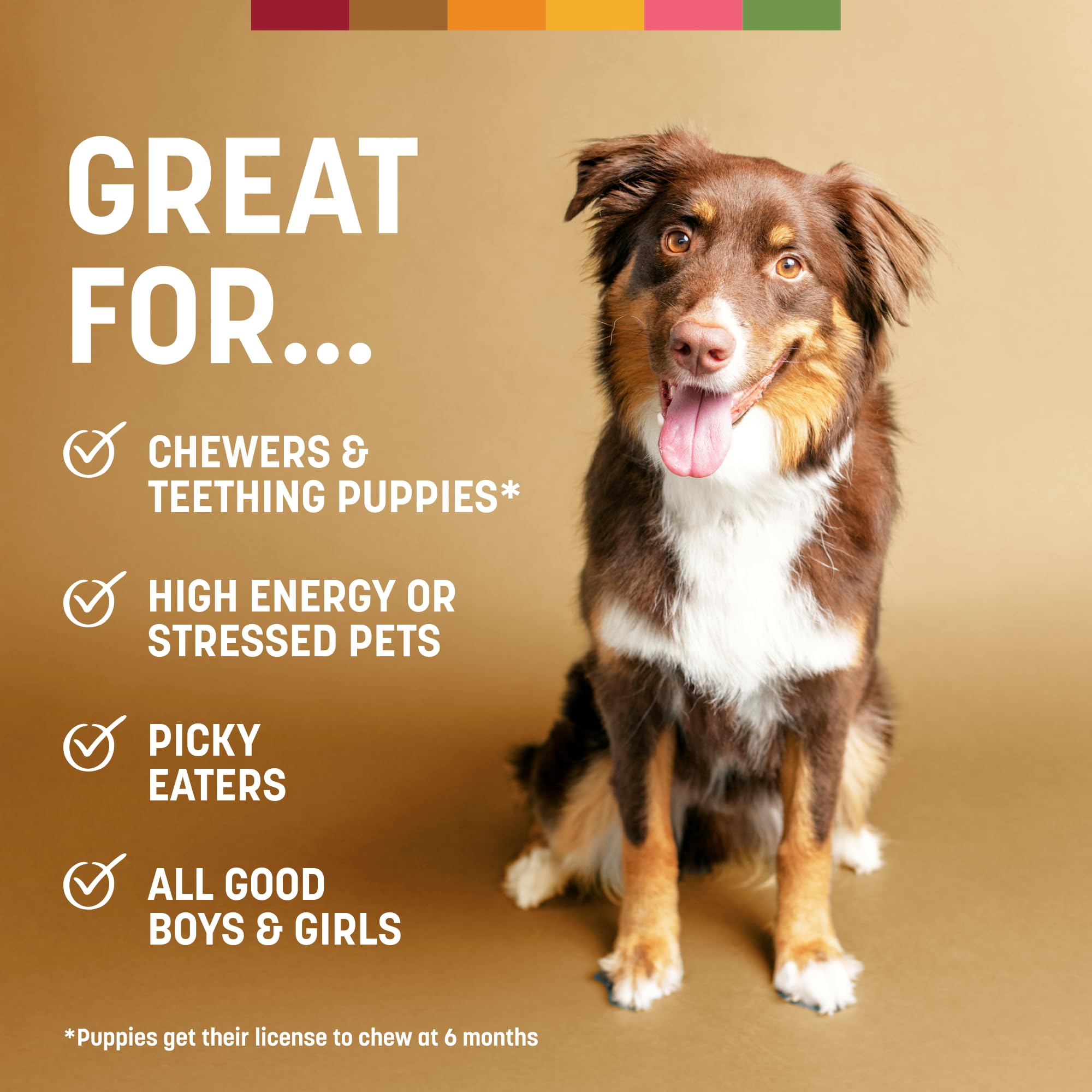 Earth Animal No Hide Chews: sin blanqueadores, opción natural para perros grandes.
