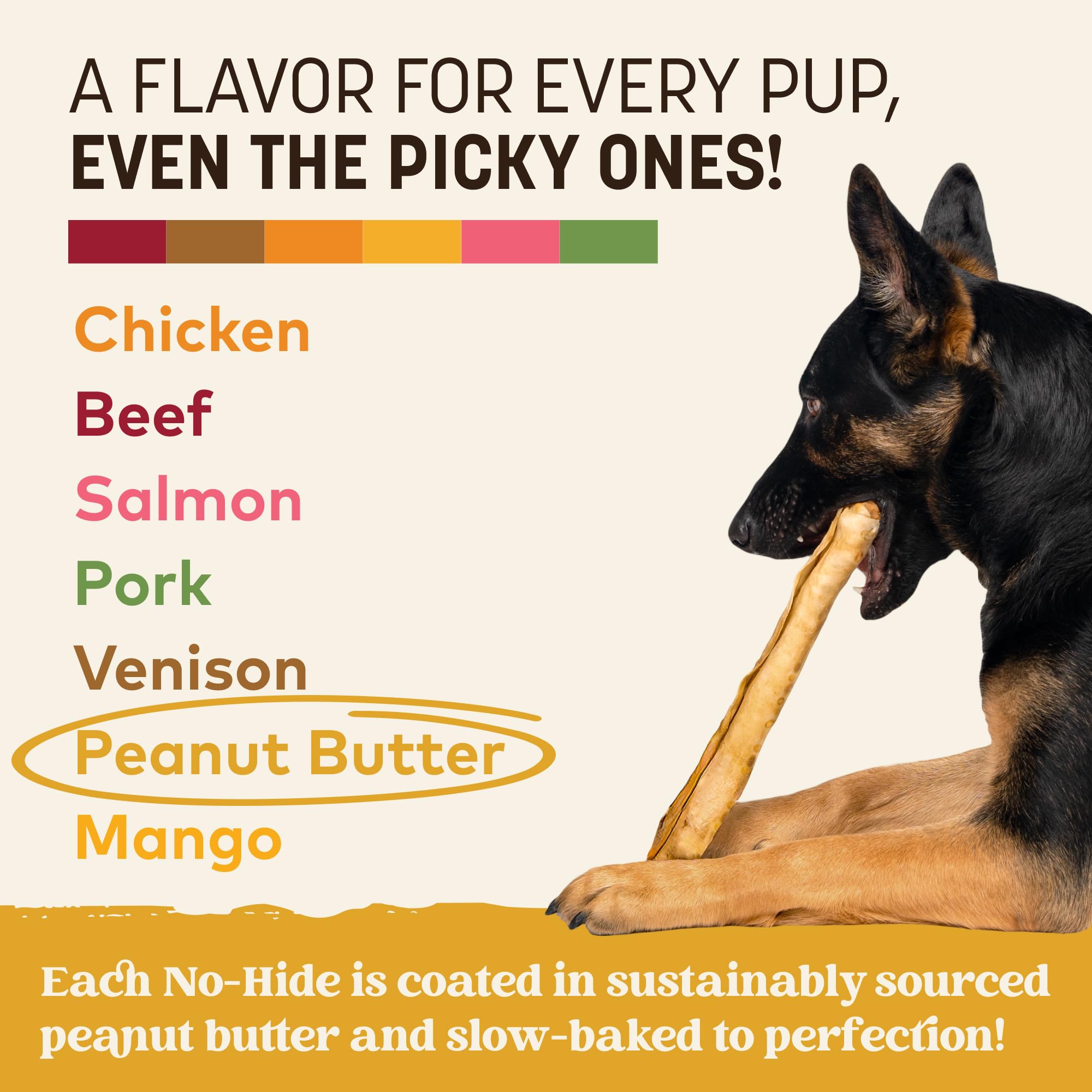 Earth Animal No Hide Chews en uso diario durante paseo con perro