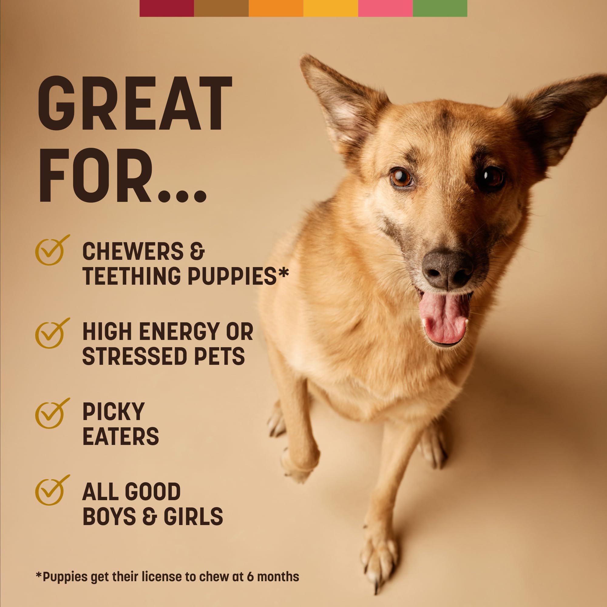 Earth Animal No Hide Chews valor educativo para la rutina de perros