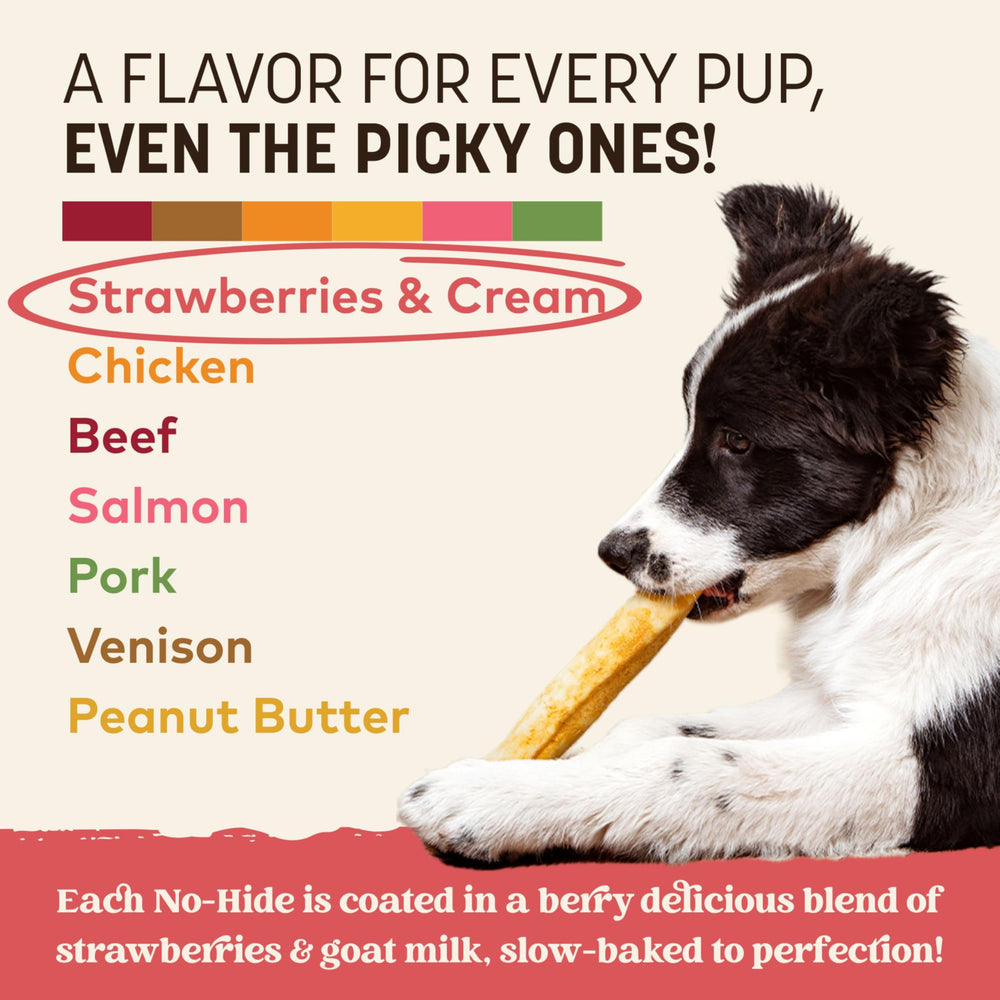 Sin químicos ni blanqueadores: Earth Animal No-Hide Rollos ofrecen opciones seguras.