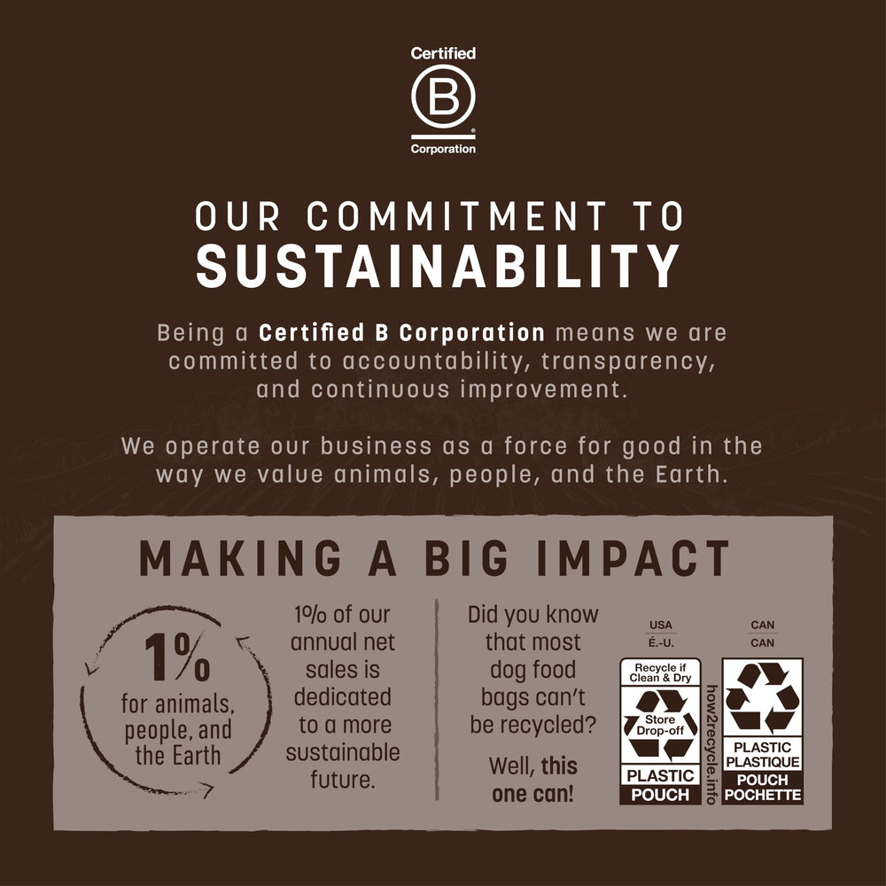 Earth Animal Wisdom: B Corp y compromiso con el medio ambiente.