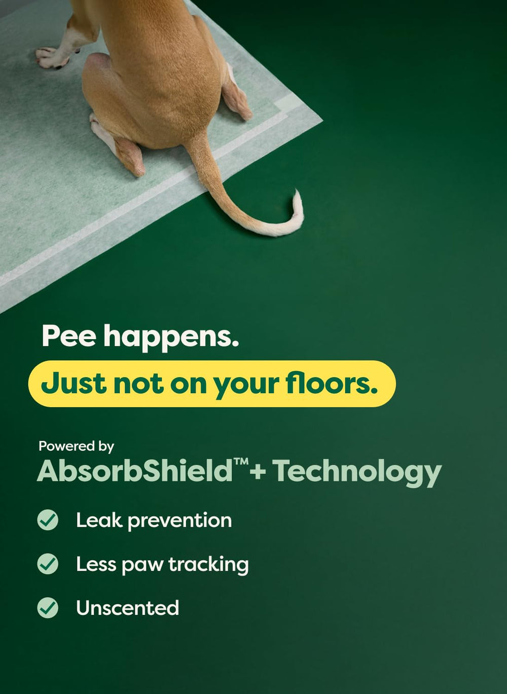 Earth Rated Puppy Pads: guía de entrenamiento para cachorros durante el uso