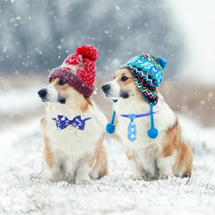 Eccliy lazo para perro con patrones invernales, añade estilo único