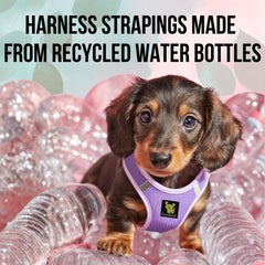 Sangles recyclées EcoBark lavande, respectueux de l’environnement et confort durable.