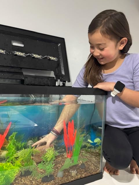 Piedra EcoBio-Block para agua salada: uso sencillo en acuario.