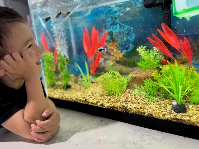 EcoBio-Block Piedra Acuario: uso en agua dulce o salada sin complicaciones.
