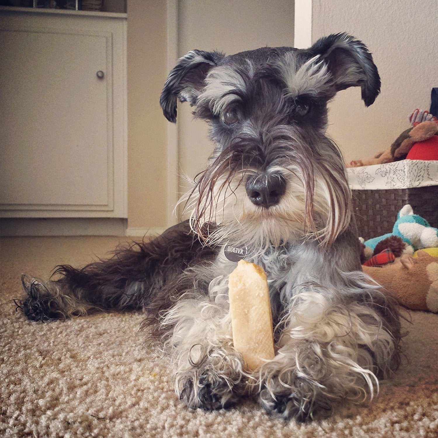 EcoKind Premium Gold Yak Cheese Himalayan ofrece entretenimiento prolongado para el perro.