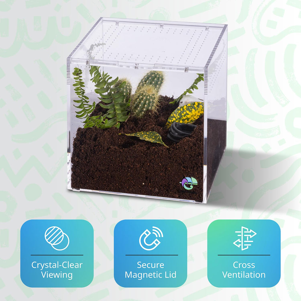 EctoTherm insectos terrario acrílico contención estable para crías.