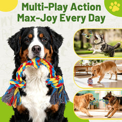 Juguete cuerda Eefitoys con juego interactivo para perros grandes.