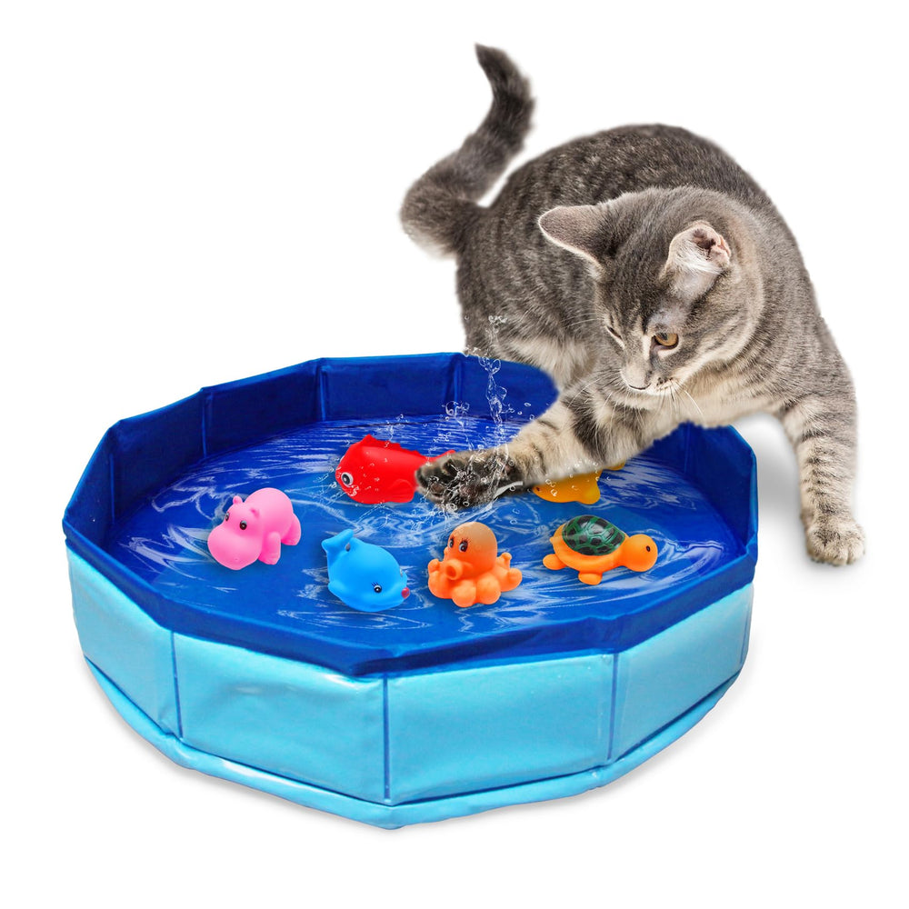 Eelexa: piscina portátil con seis peces flotantes para juego activo en casa