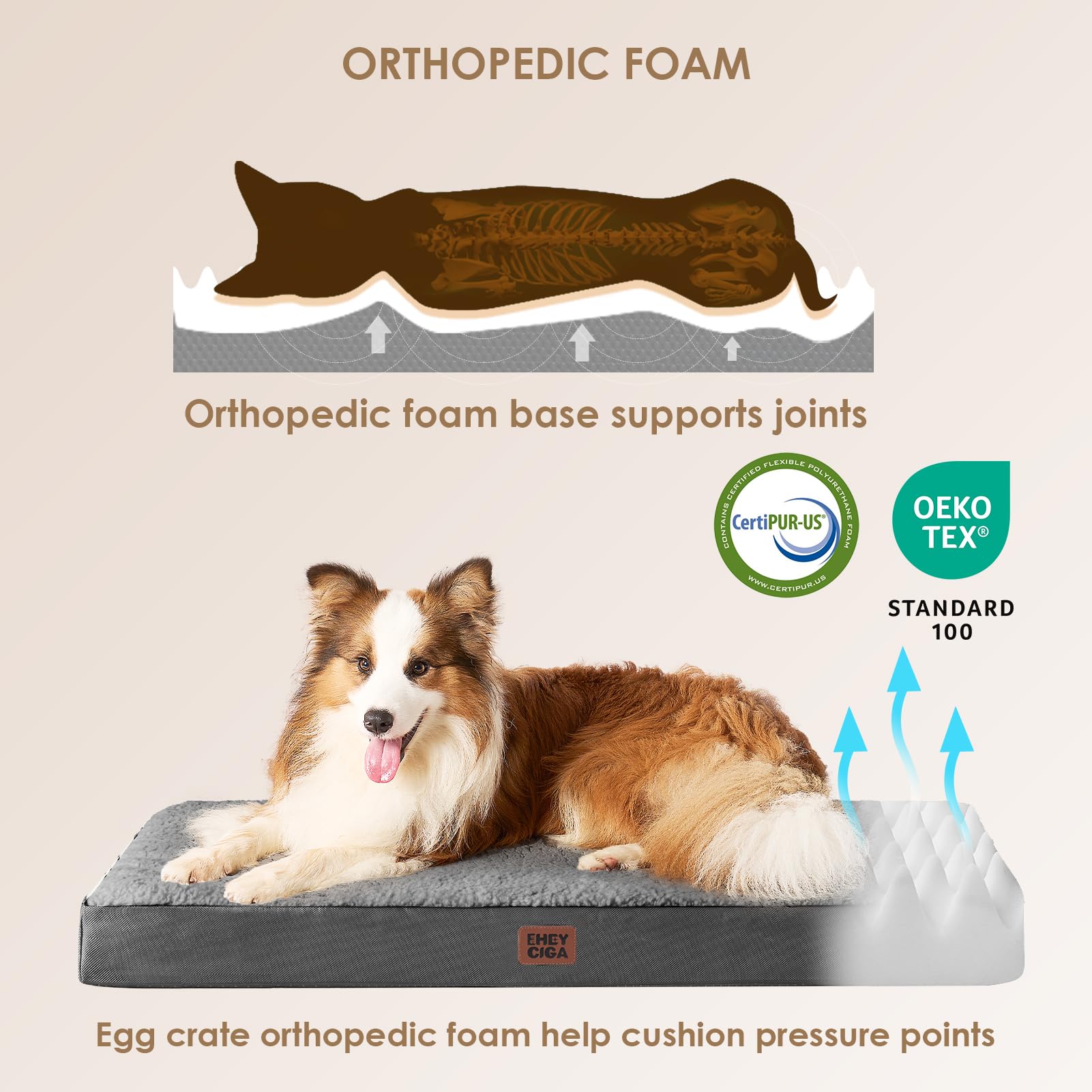 Espuma de alta densidad 3,5 pulgadas en almohadón EHEYCIGA para perro XL, soporte firme