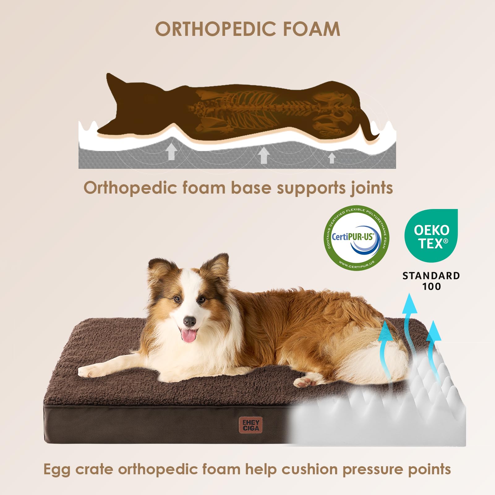 Base antideslizante de EHEYCIGA para cama de perro grande