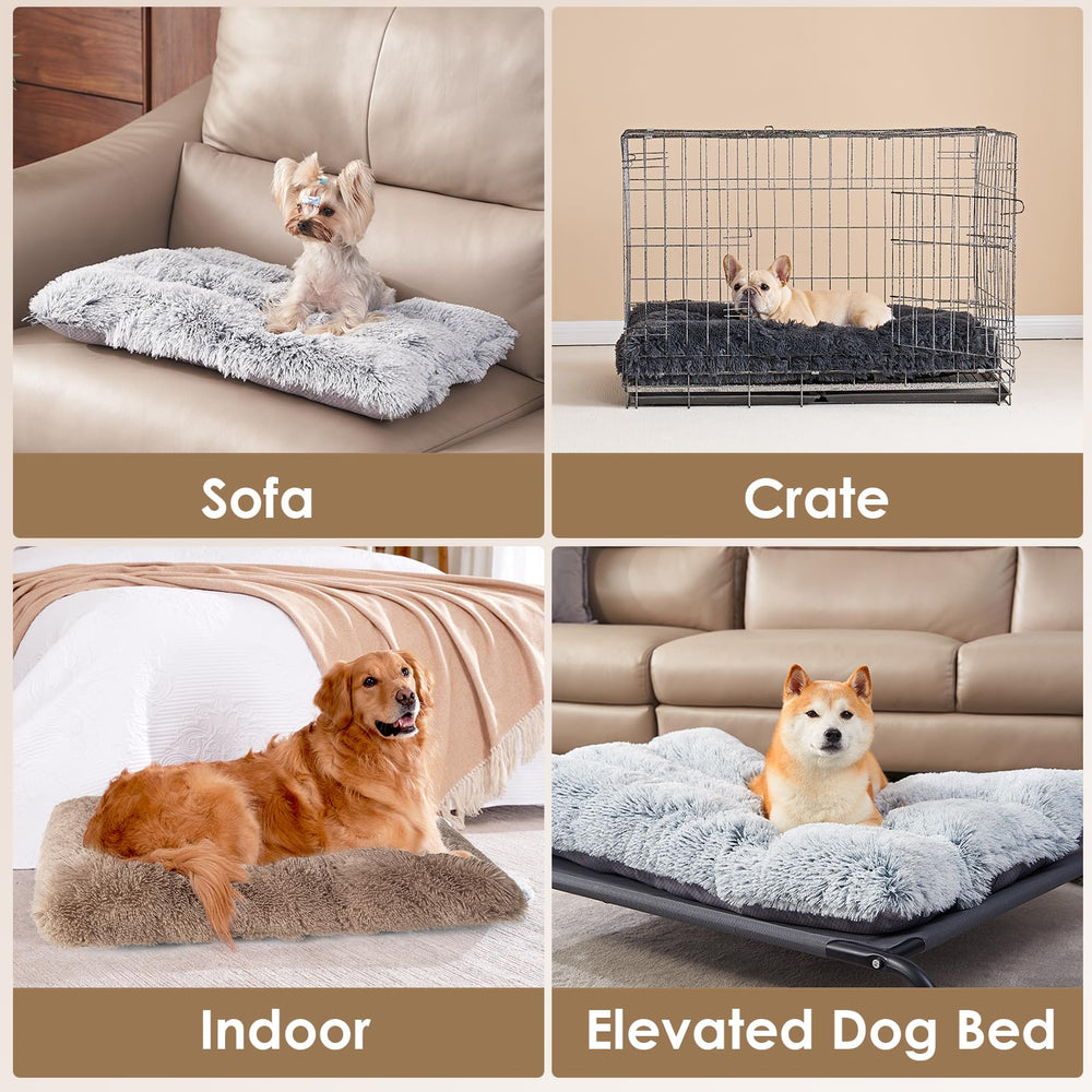 Base segura y tacto suave para perros nerviosos