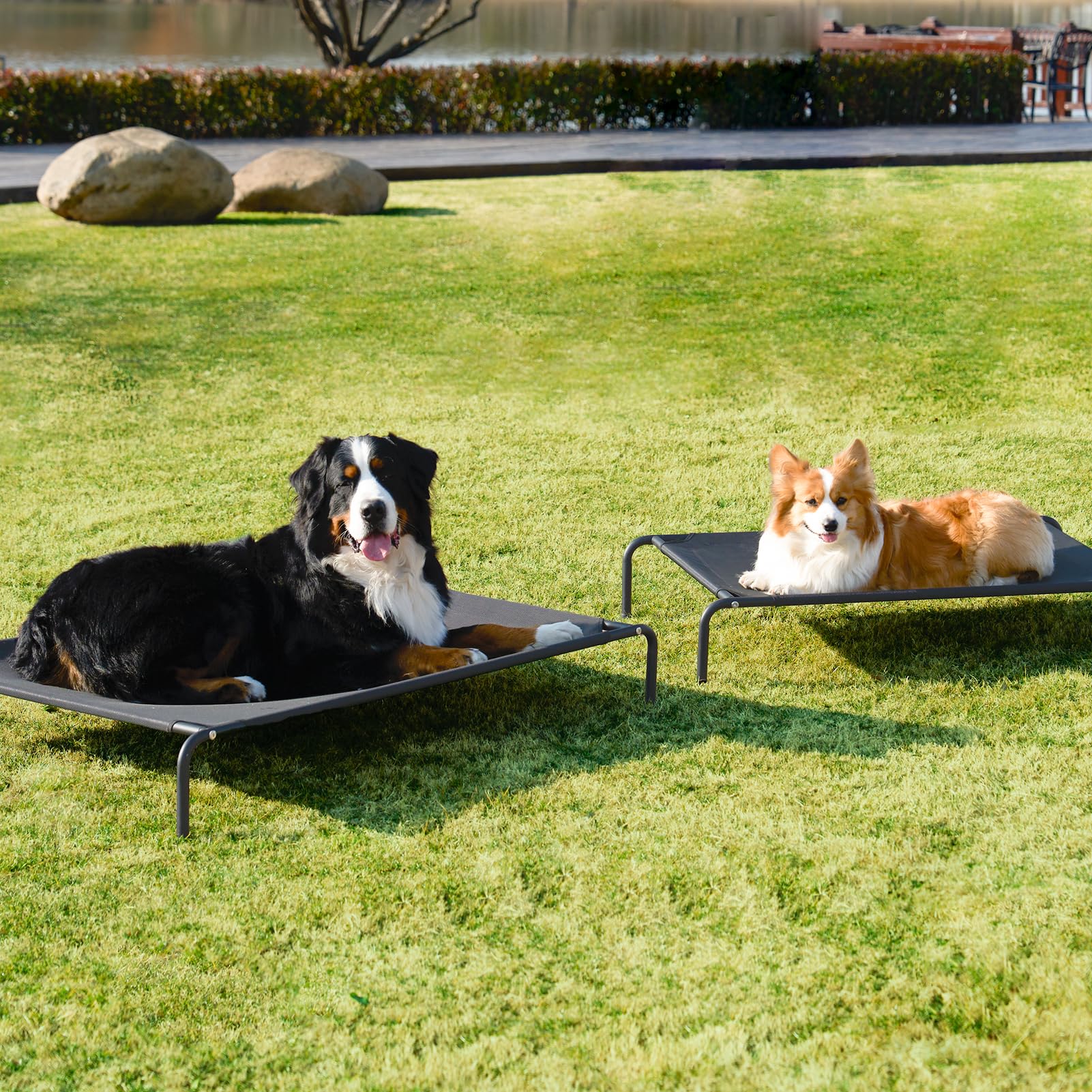 Confort para perros XL al aire libre con EHEYCIGA