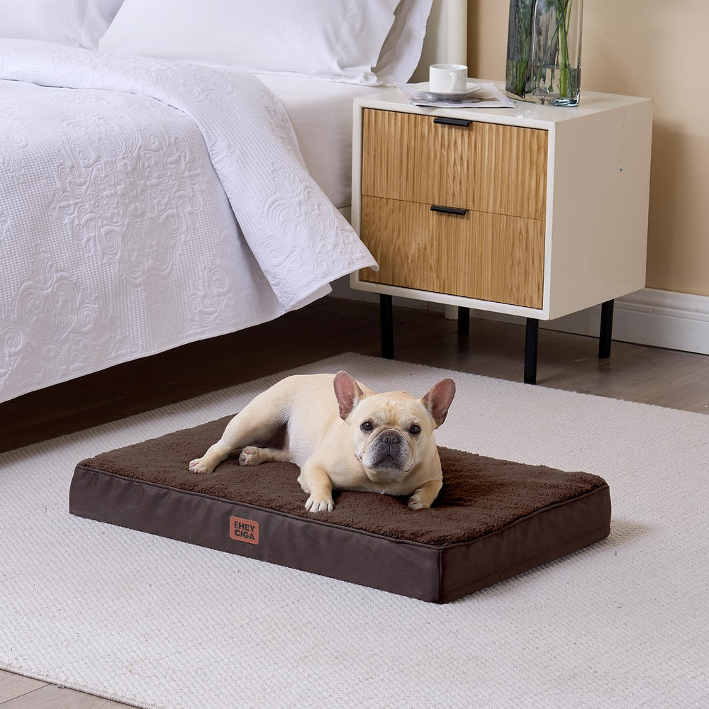 Diseño seguro y confortable para perros grandes de EHEYCIGA