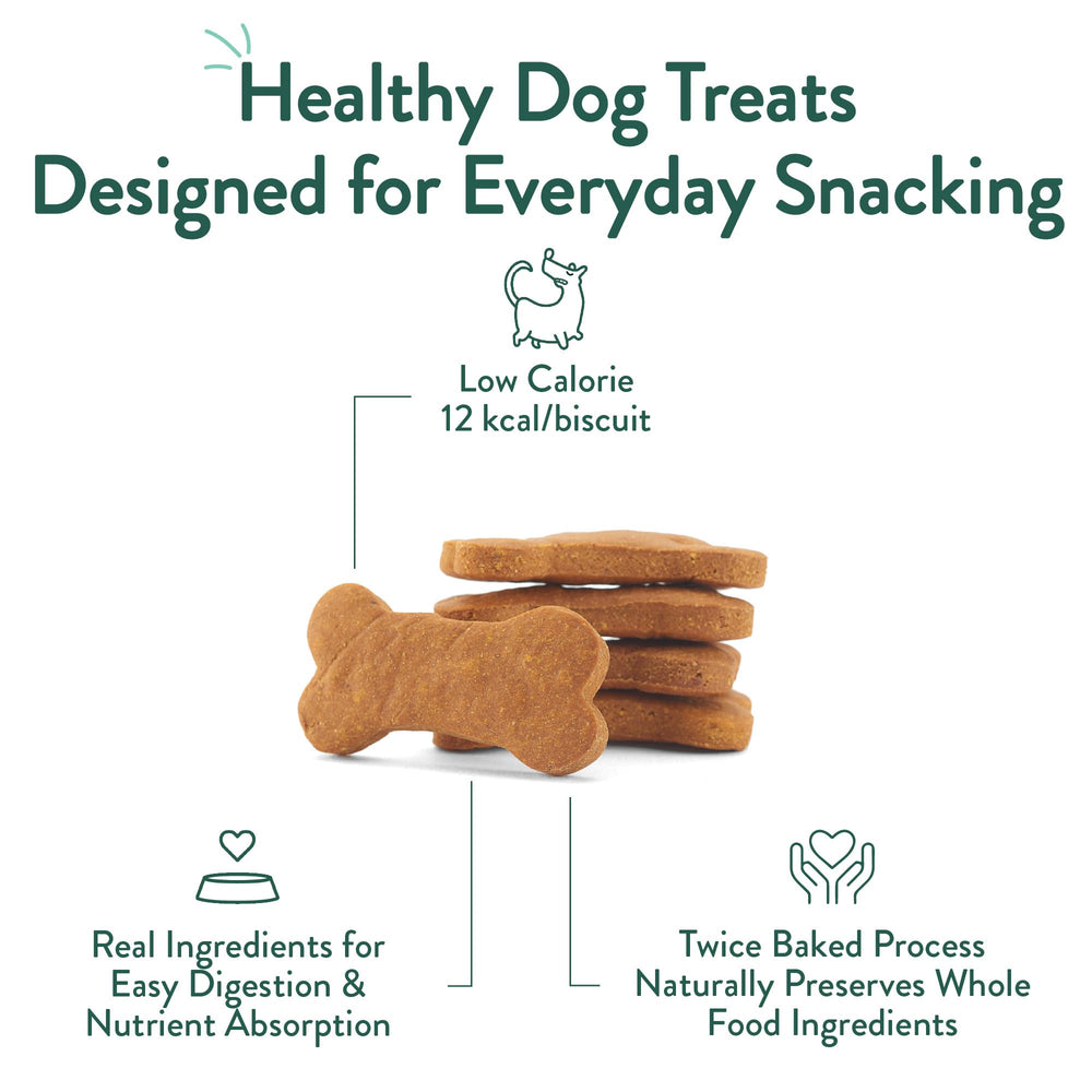 Portland Pet Food Company sin conservantes ni colorantes artificiales