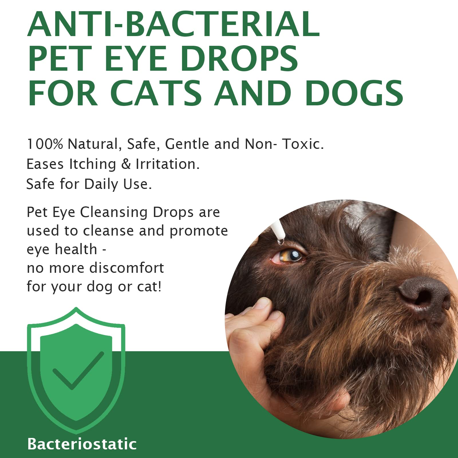 Hidratación de los ojos de perros y gatos con Elaimei.