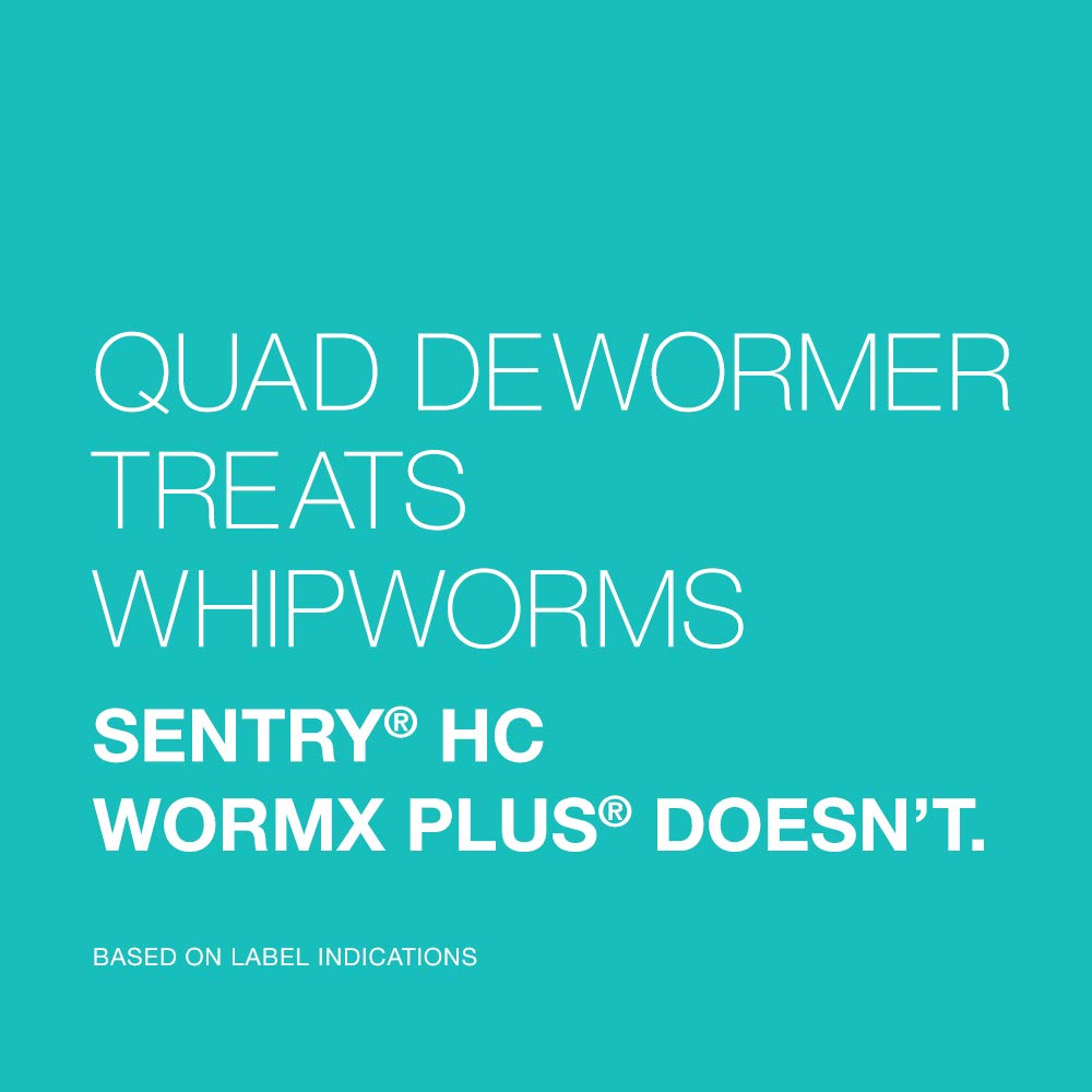 Perro contento tras tratamiento con Elanco Quad Dewormer para salud digestiva