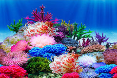 ELEBOX póster de fondo para acuario con plantas marinas, paisaje submarino realista.