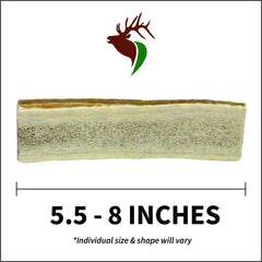 Elkhorn Premium Chews interior de médula sabrosa para masticación