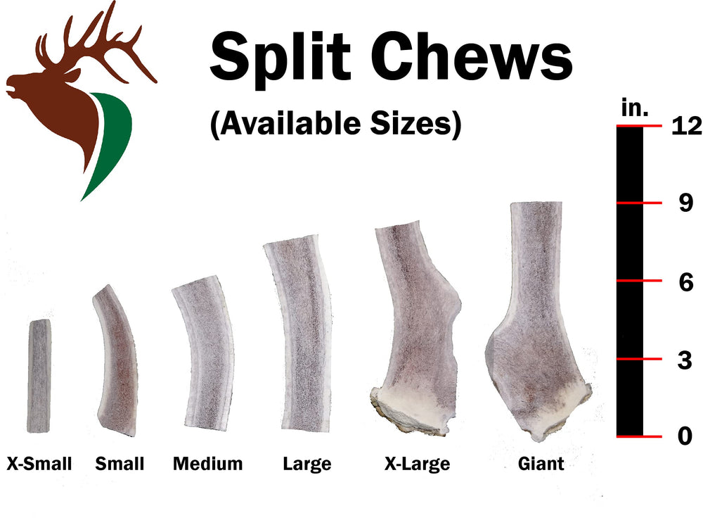 Elkhorn Premium Chews sin olor y sin desorden tras la masticación