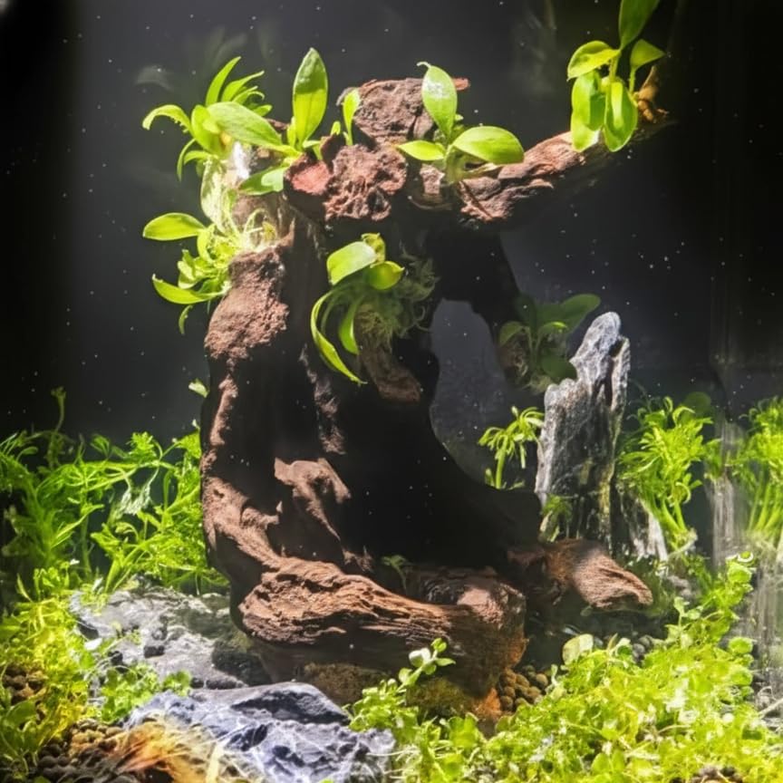 emours driftwood: ornamentos para hogar y arte