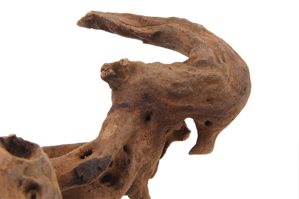 Emours driftwood para acuario, detalle de ramas que aporta ambiente natural.