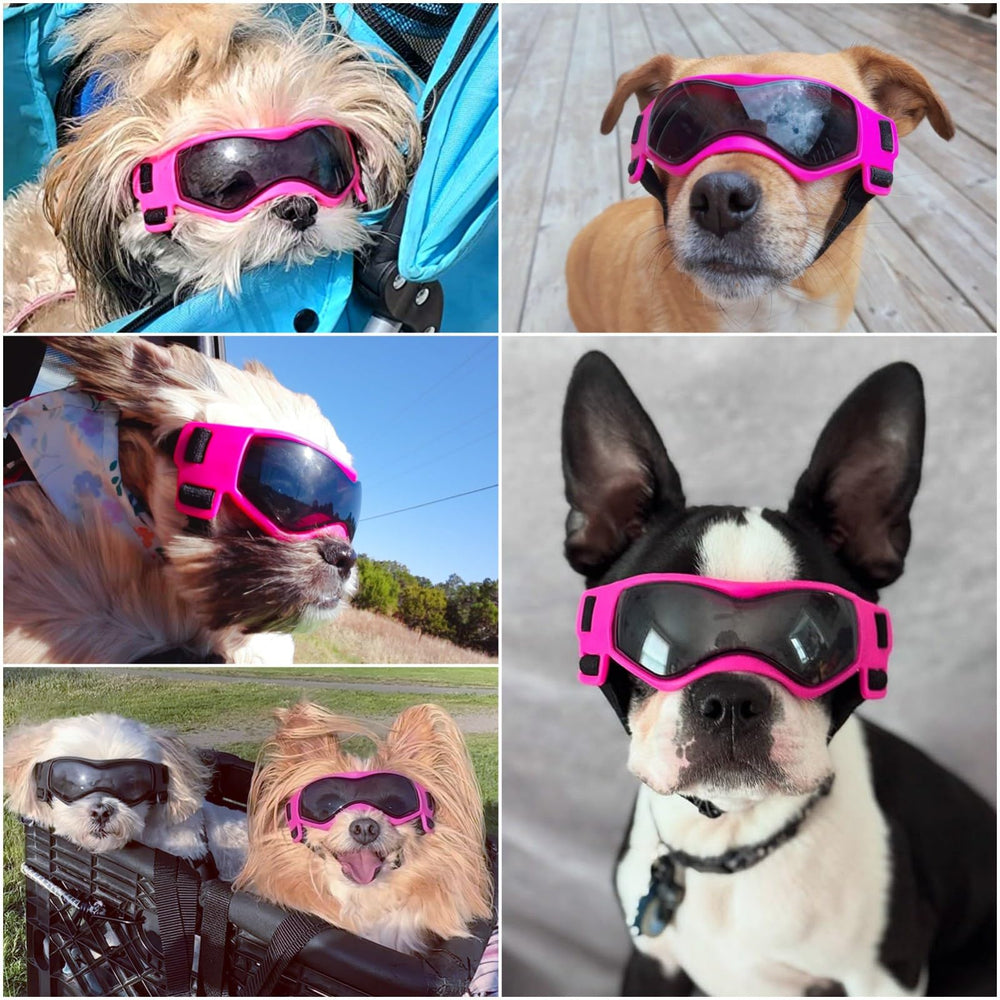 Gafas Enjoying para perro pequeño con lentes UV para uso al aire libre.