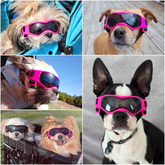 Gafas Enjoying para perro pequeño con lentes UV para uso al aire libre.
