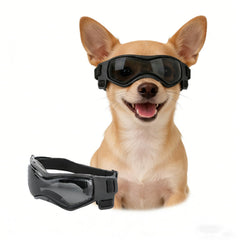 Gafas Enjoying para perro pequeño con protección UV y lentes transparentes para paseos seguros.