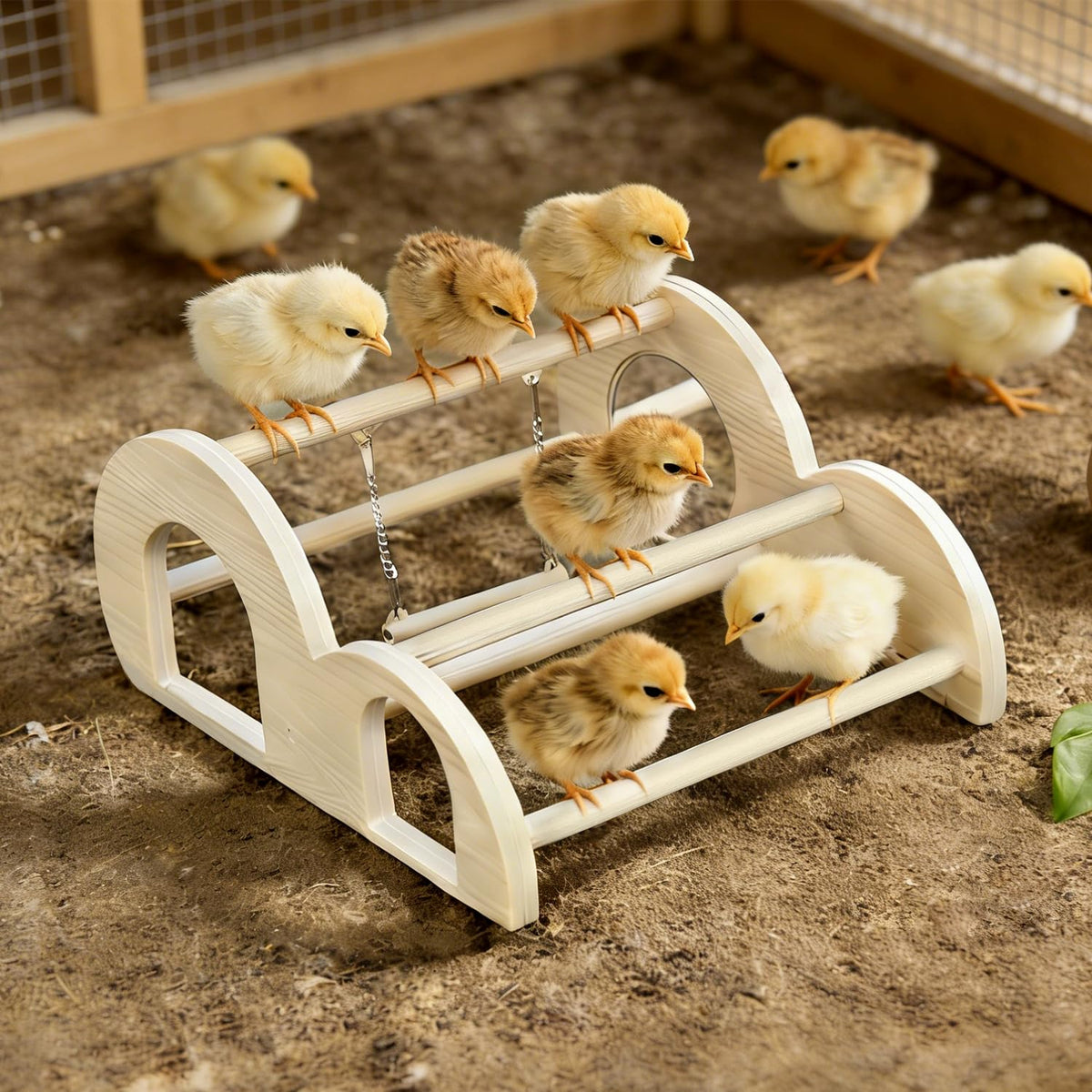 Percha Enrichoice para pollos con columpio y espejo, estimulando actividad y curiosidad.