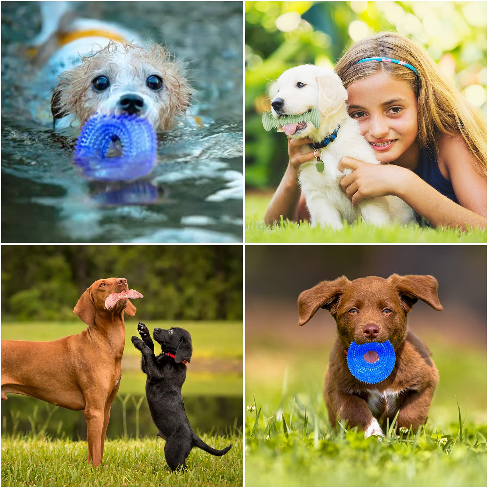 ENZZROA set de mordedores para cachorros pequeños y medianos.