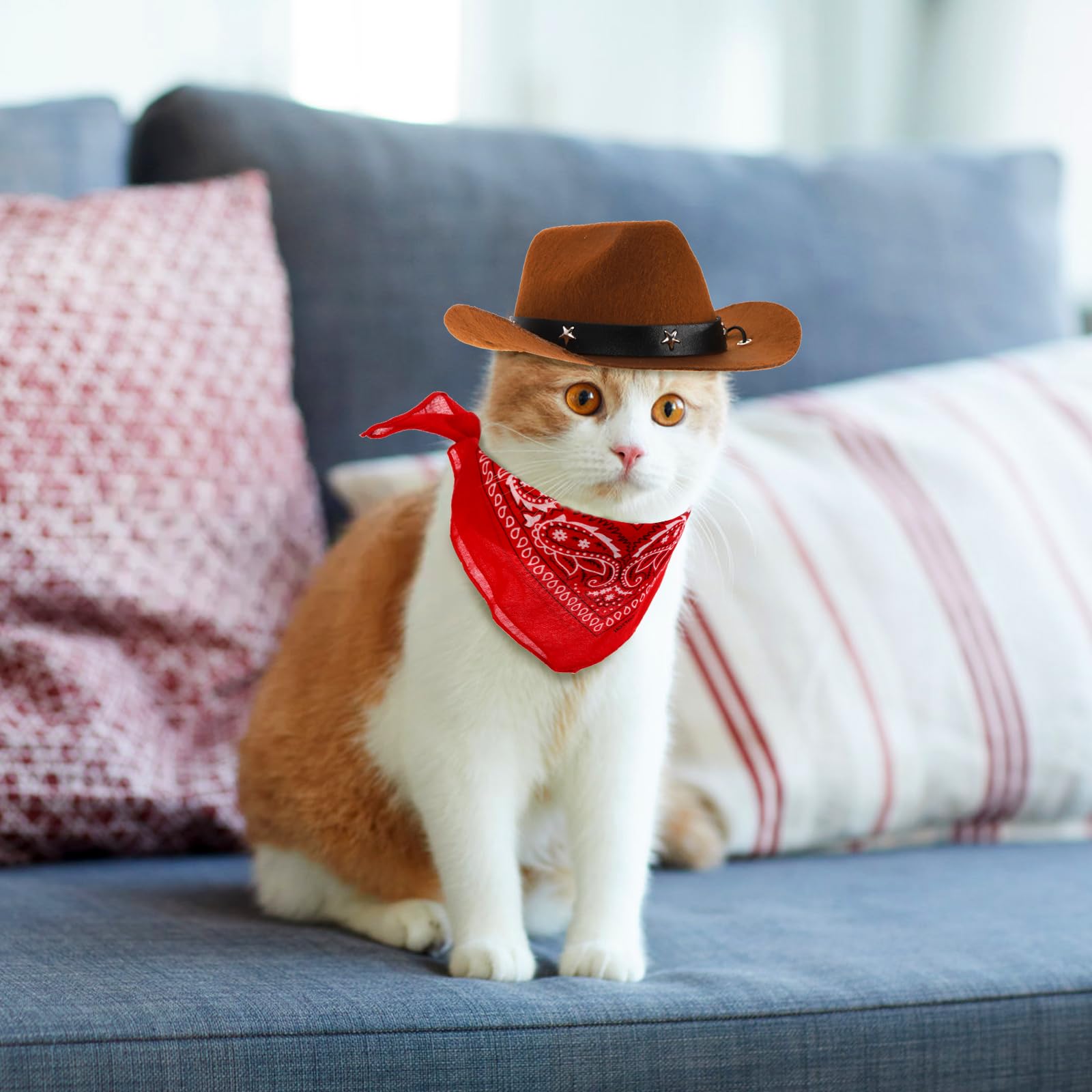 presentación en paquete de accesorios vaqueros eorbow para mascotas