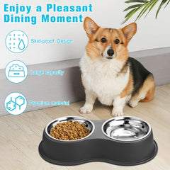 EpetsLove soporte elevado facilita comer y beber con postura más cómoda.