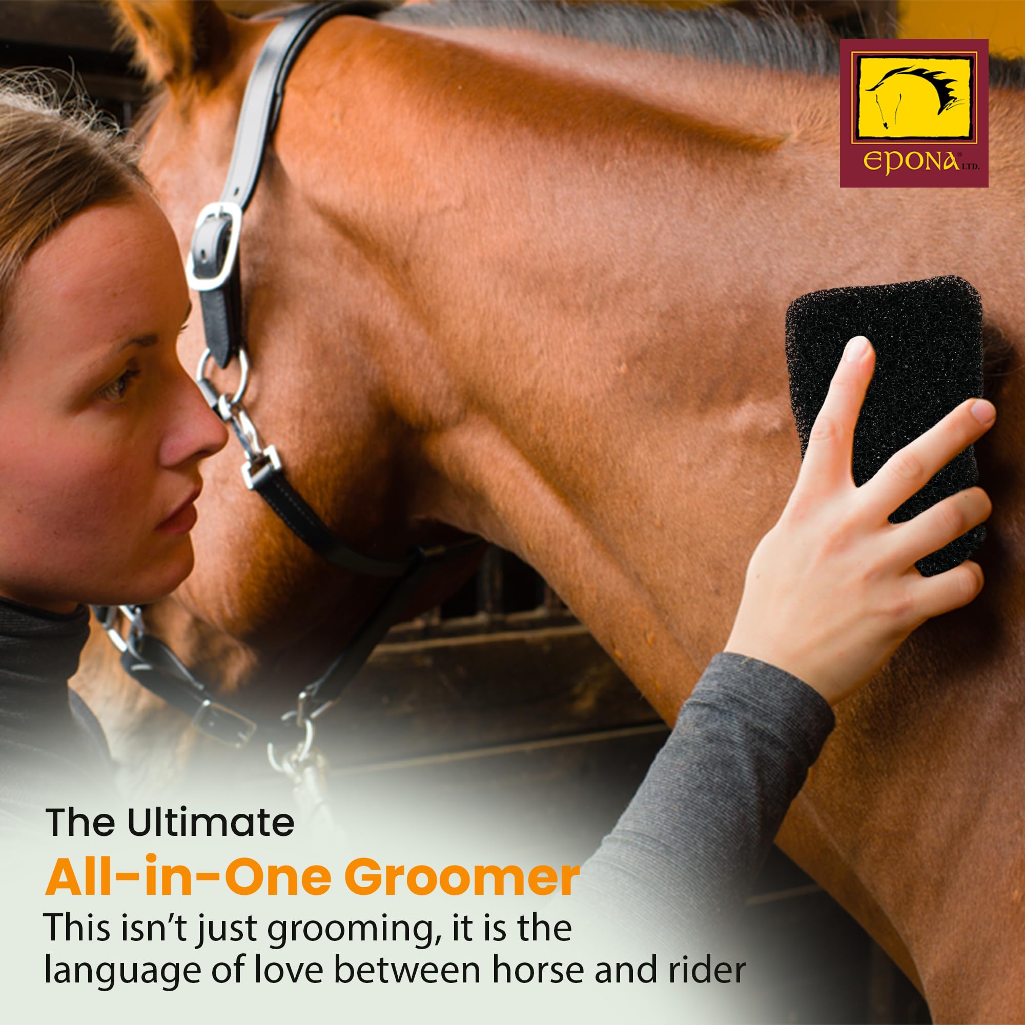 Uso corporal del groomer para cuerpo y piernas del caballo.