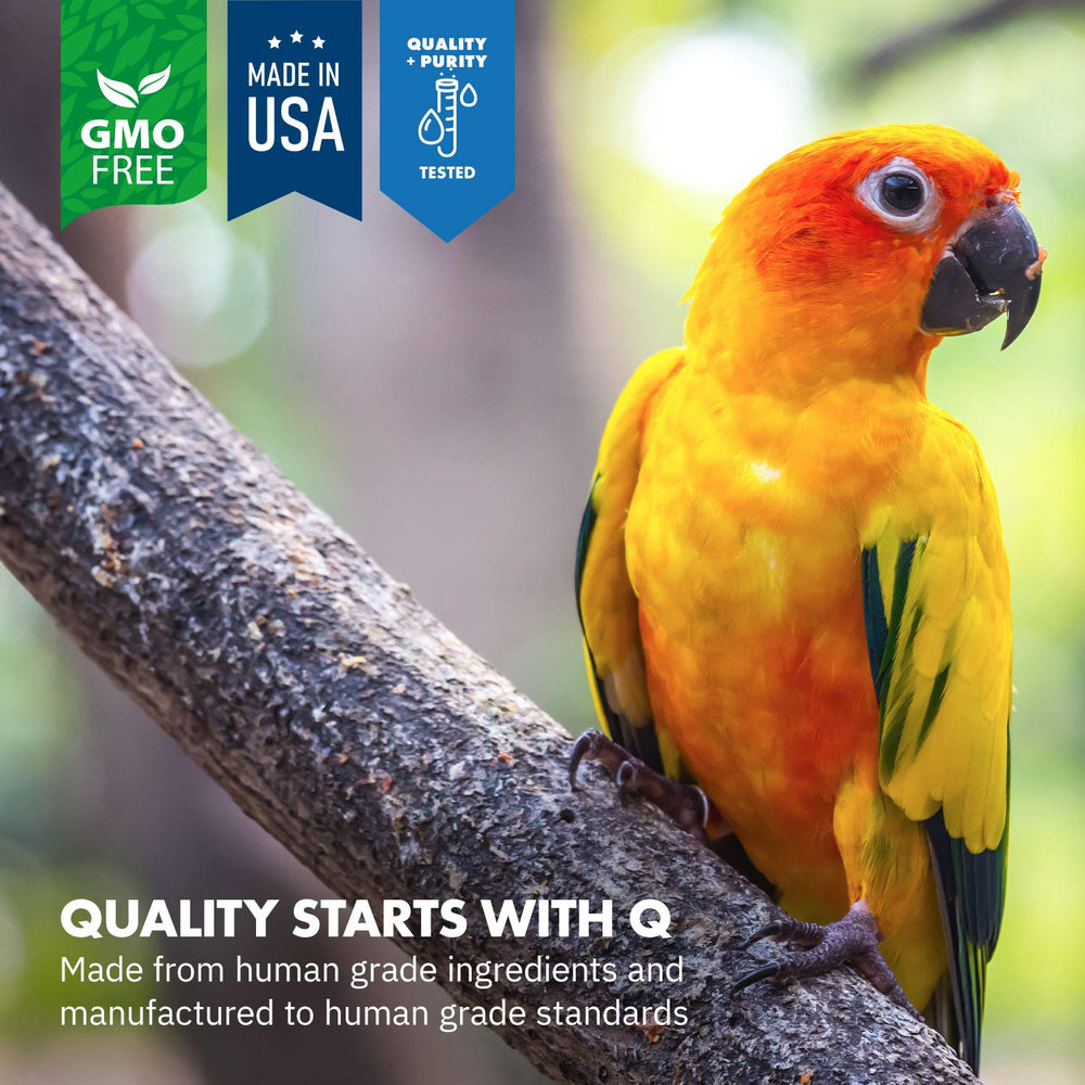 Equa Holistics Calma Aviana cuchara medidora, dosis para aves pequeñas.
