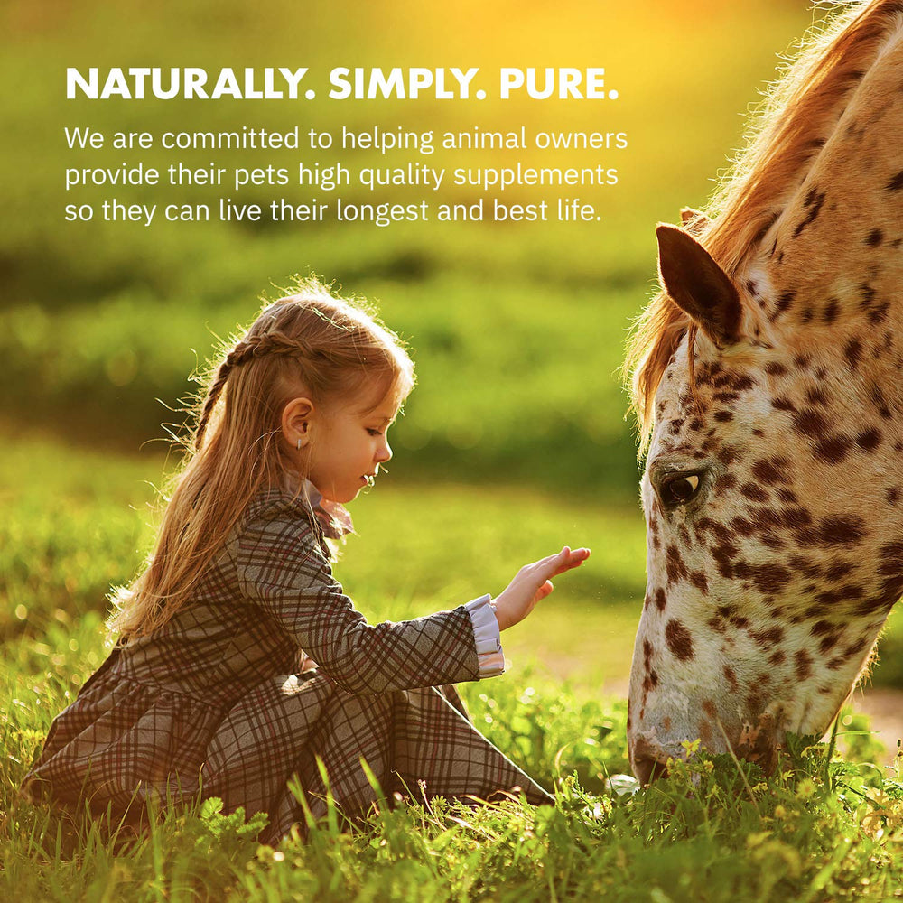 Equa Holistics HealthyGut: administración diaria simple para caballos