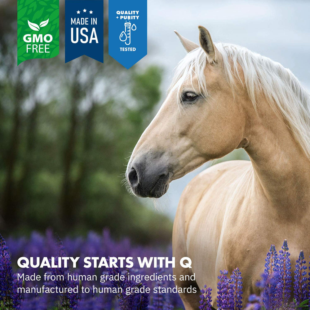 Equa Holistics HealthyGut: mezcla natural de probióticos para la microbiota equina